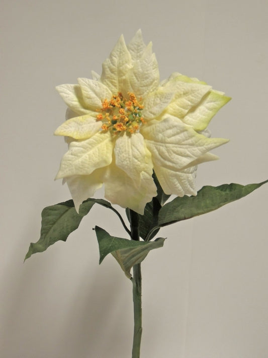 Künstlicher Weihnachtsstern Poinsettia 54 cm Creme mit Wasserstiel – Weihnachtsdekoration