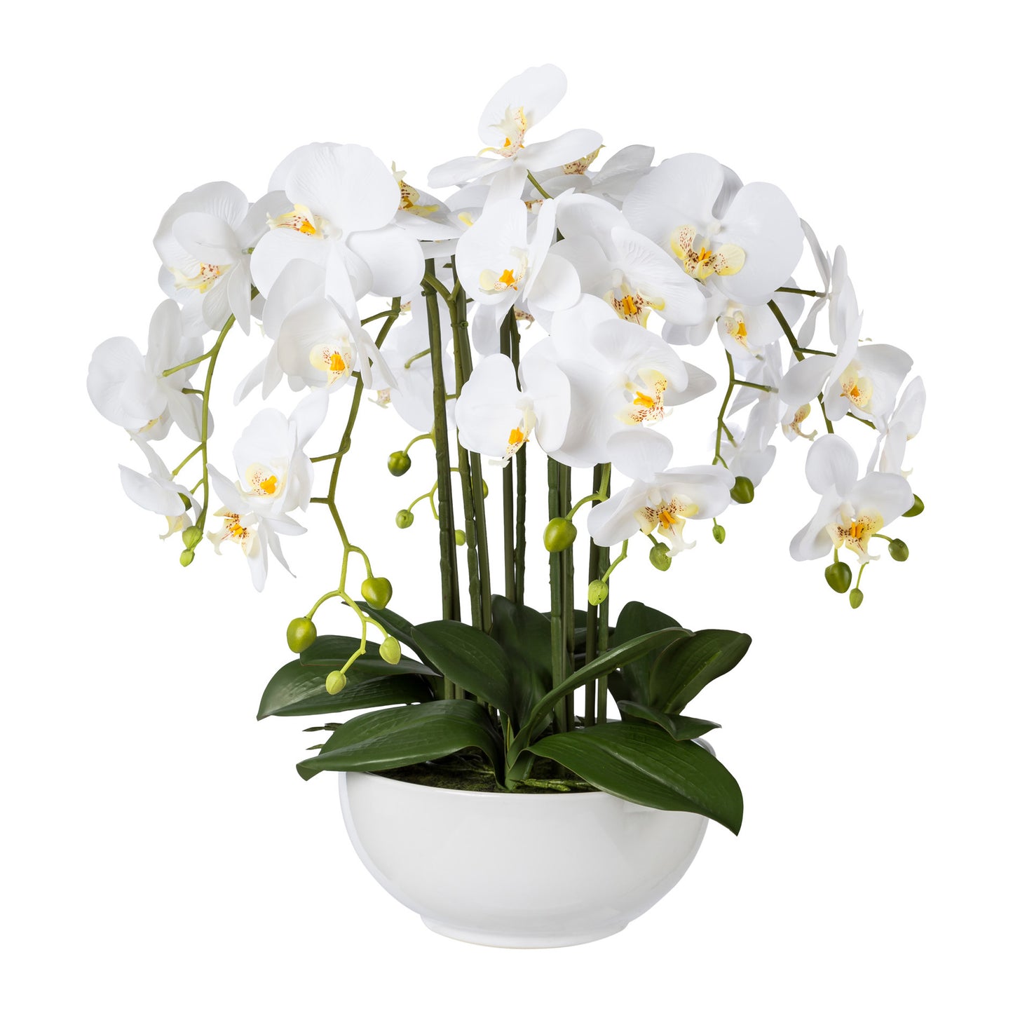 Pflegeleichte Künstliche Phalaenopsis Orchidee 54 cm in weißer Keramikschale
