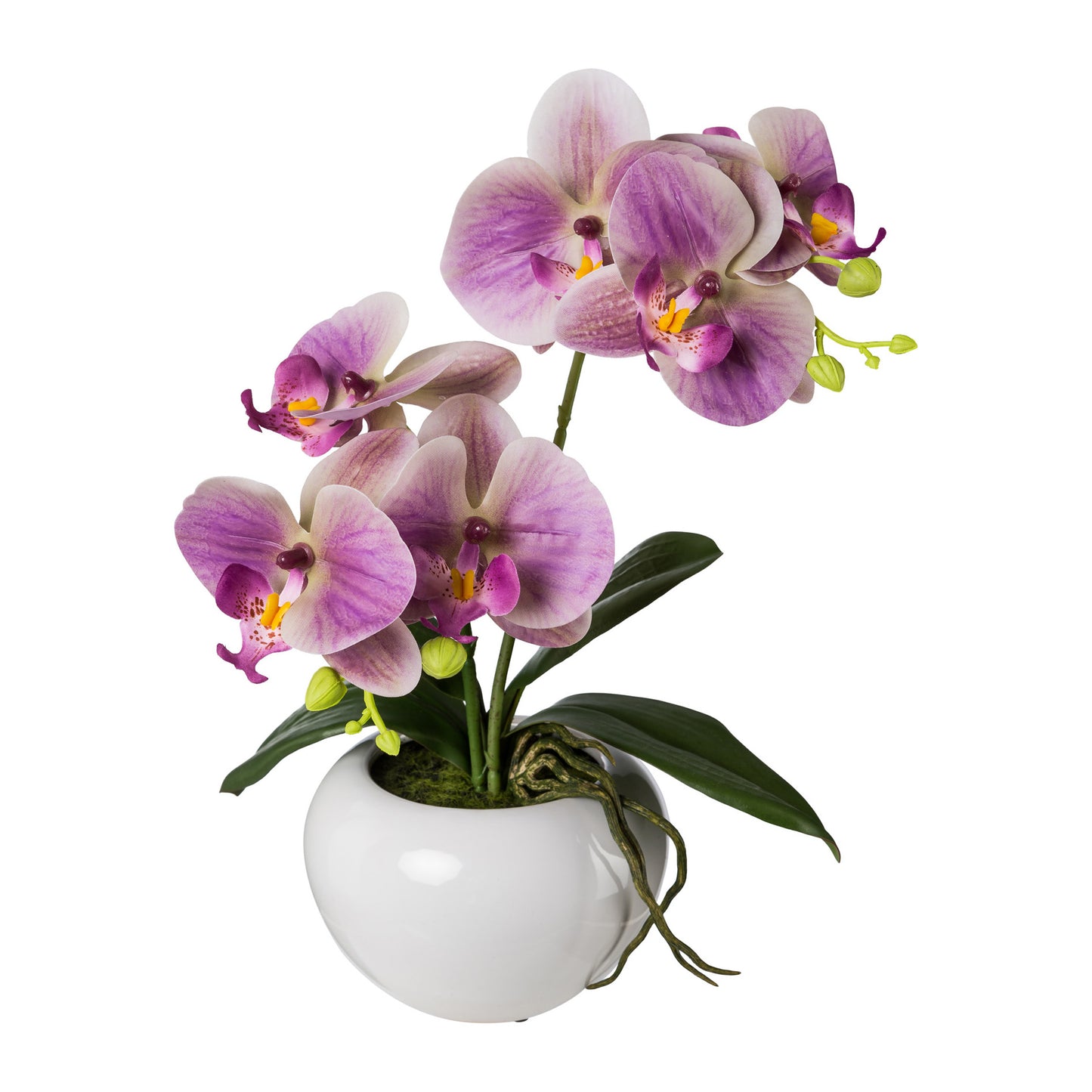 Künstliche Phalaenopsis 35 cm in eleganter weißer Keramikschale - Farbenvielfalt für Räume