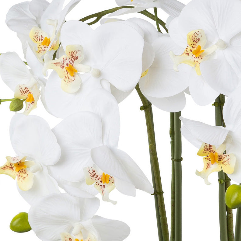 Phalaenopsis Kunstpflanze in edler Silber-Keramikschale, 41 cm, 4 weiße Blütenstände