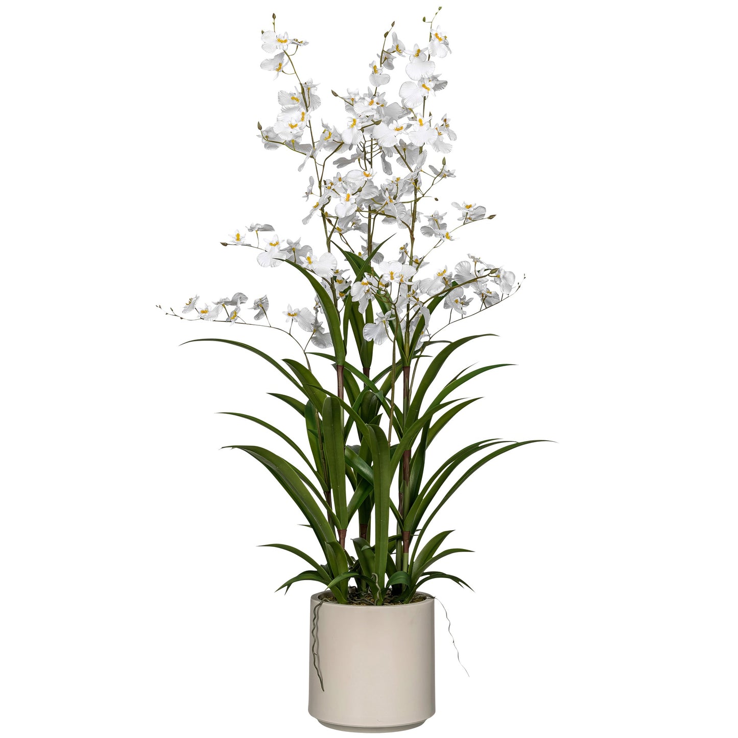 Künstliche Oncidium Orchidee 98 cm Weiß im dekorativen Topf Pflegeleicht und realistisch