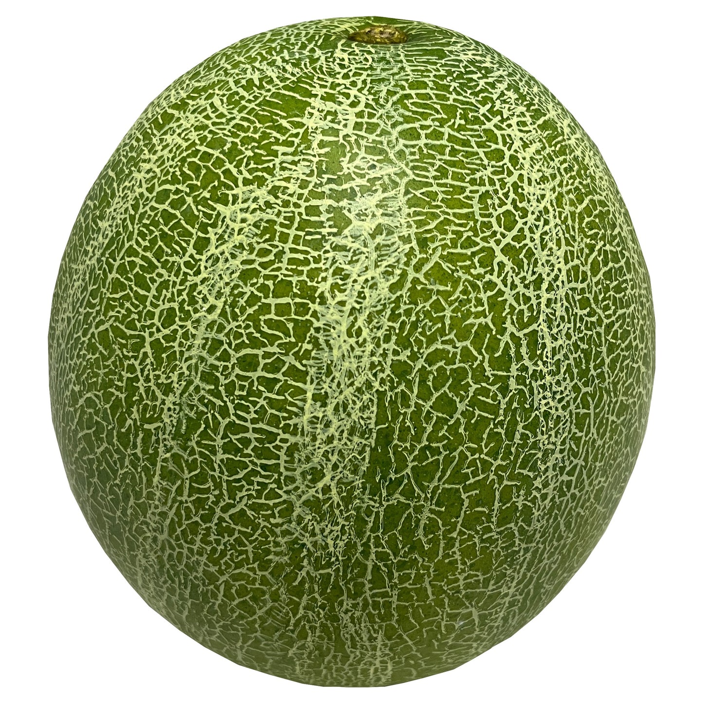 Realistische Cantaloupe-Melone Kunstpflanze Ø15cm naturgetreu Deko für Zuhause und Wohnzimmer