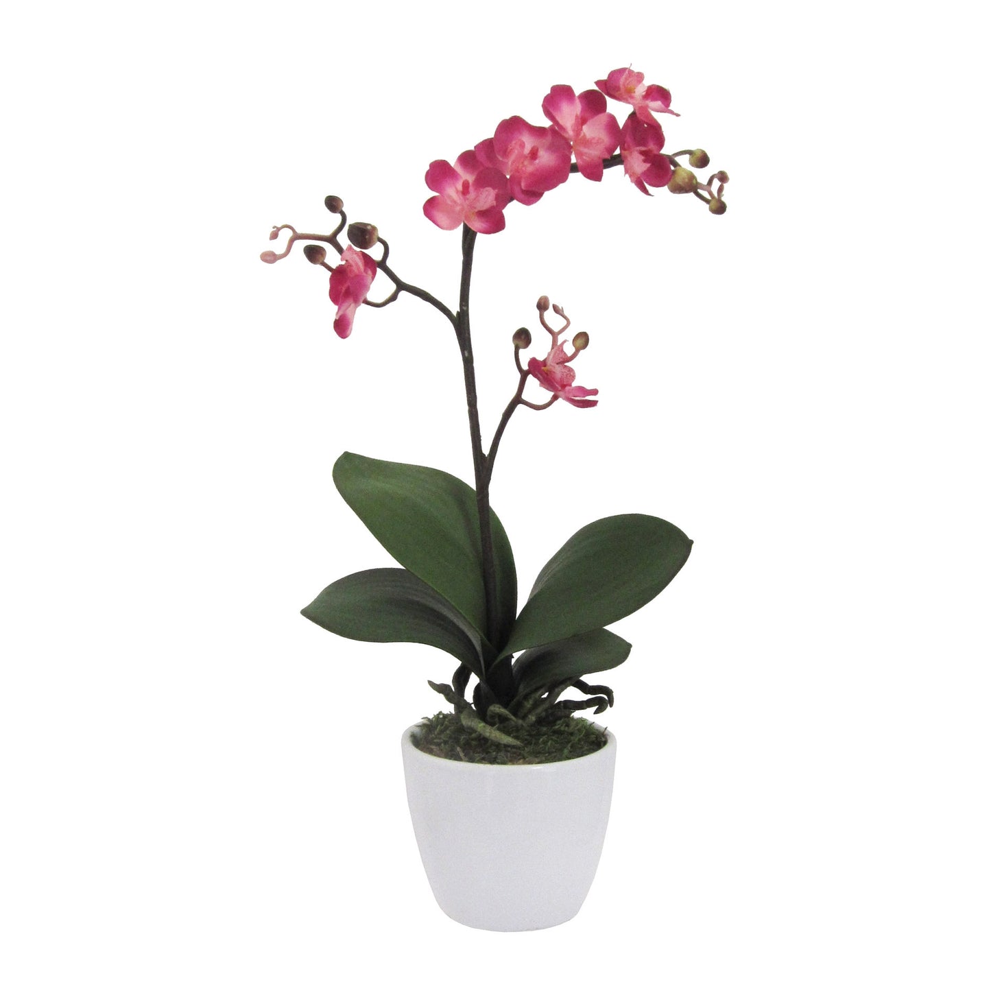 Künstliche Phalaenopsis Orchidee Cassandra 50 cm in Cerise – ansprechende Deko für Ihr Zuhause