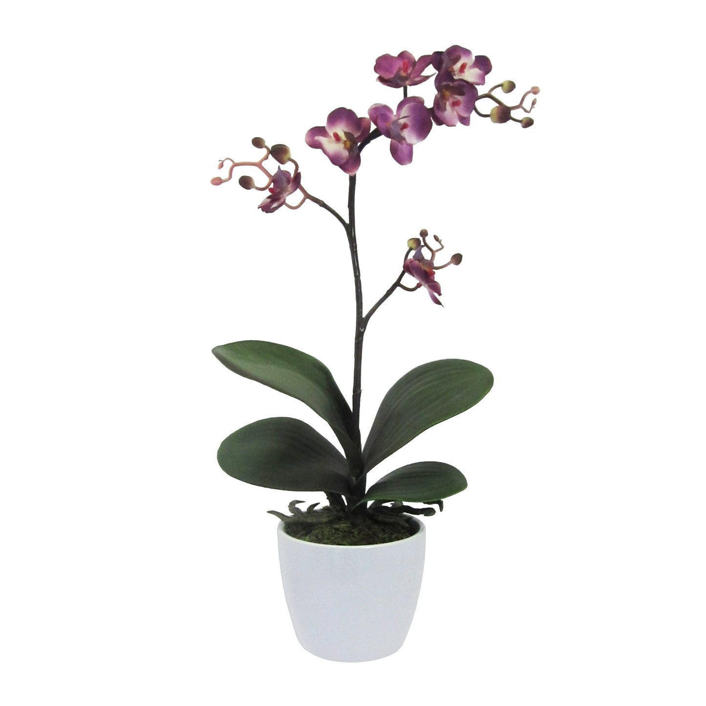 Künstlicher Phalaenopsis Cassandra 50 cm in Lila – Pflegeleicht und vielseitige Deko
