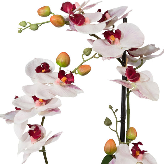 Phalaenopsis Orchidee 42 cm im Keramiktopf – Rosa Real Touch Kunstpflanze für Zuhause