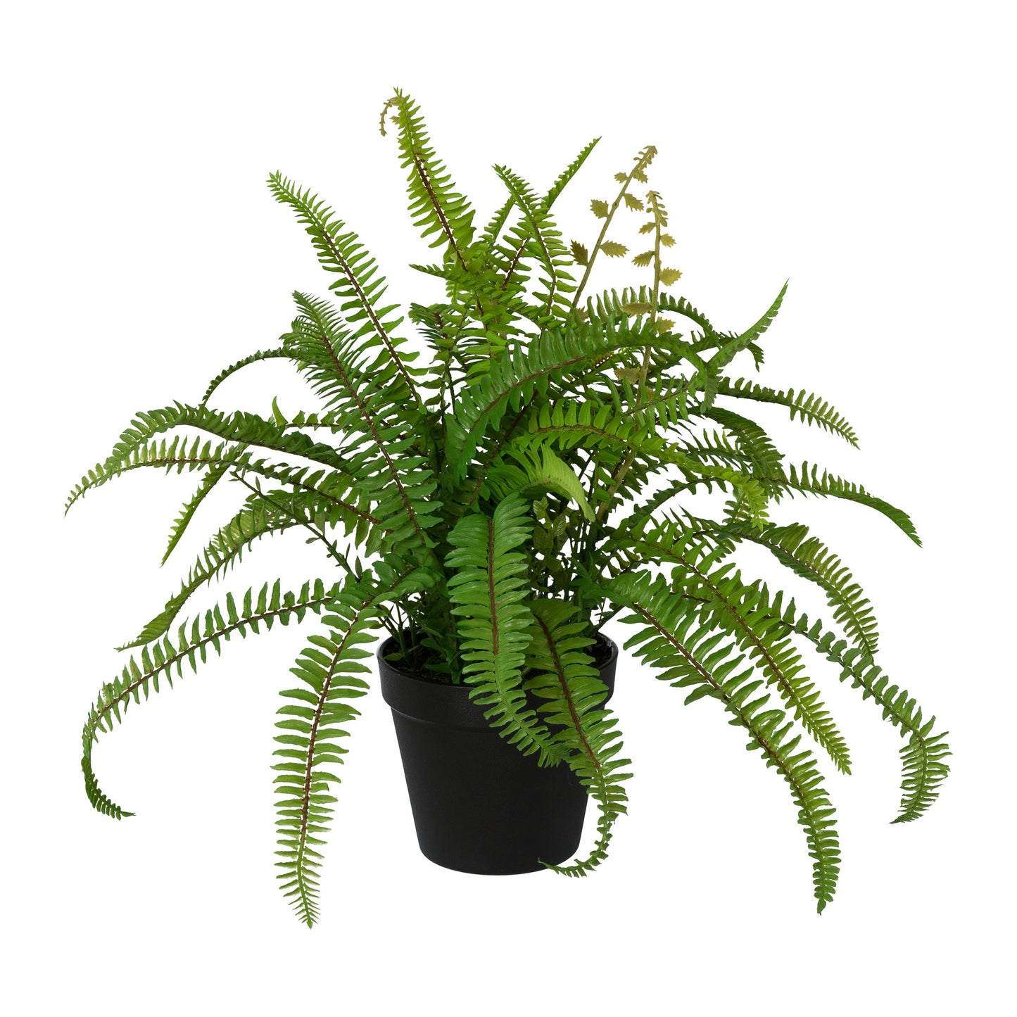 Künstlicher Nephrolepisfarn 43 cm im Topf – Pflegeleichte Dekopflanze für Ihr Zuhause