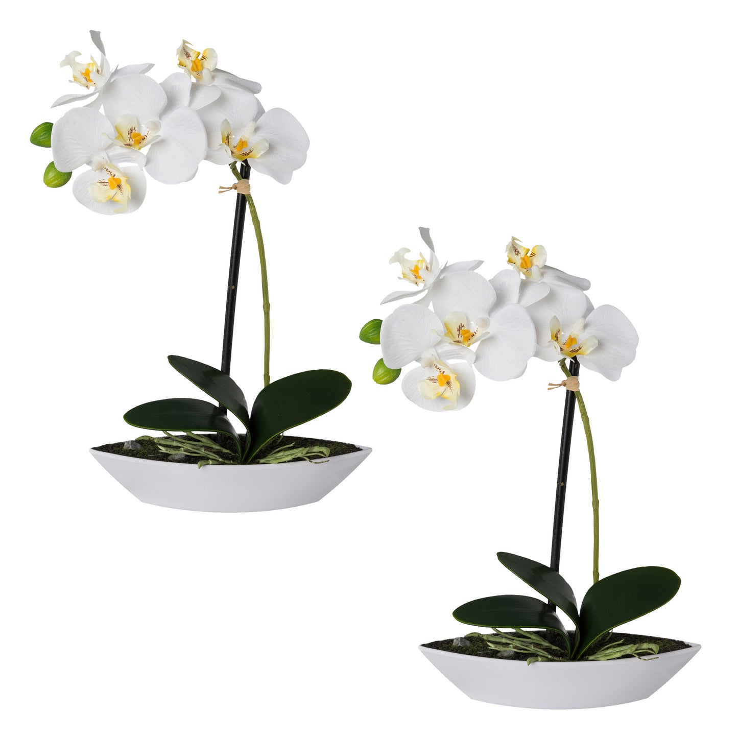 2er Set Phalaenopsis Orchideen in ovaler Schale 30 cm, weiß – Künstliche Blumen Deko
