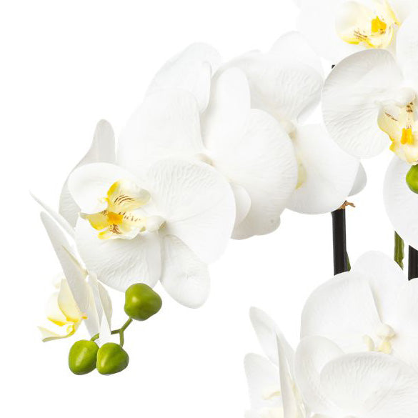 Phalaenopsis Kunstpflanze 69 cm Weiß im 15,5x14,5 cm Resintopf – Pflegeleicht und Elegant