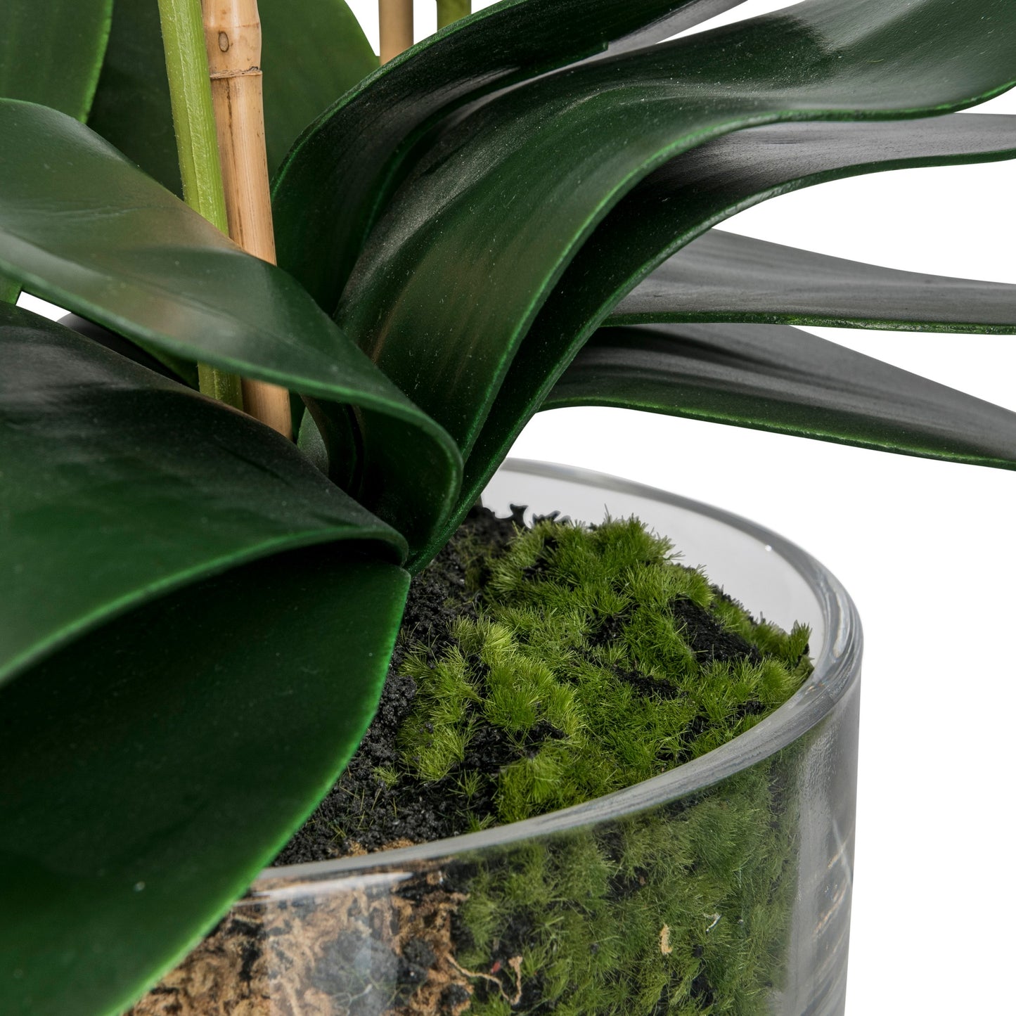 **Kunstpflanze Phalaenopsis Orchidee im Glas, 50 cm hoch, elegante weiße Deko**