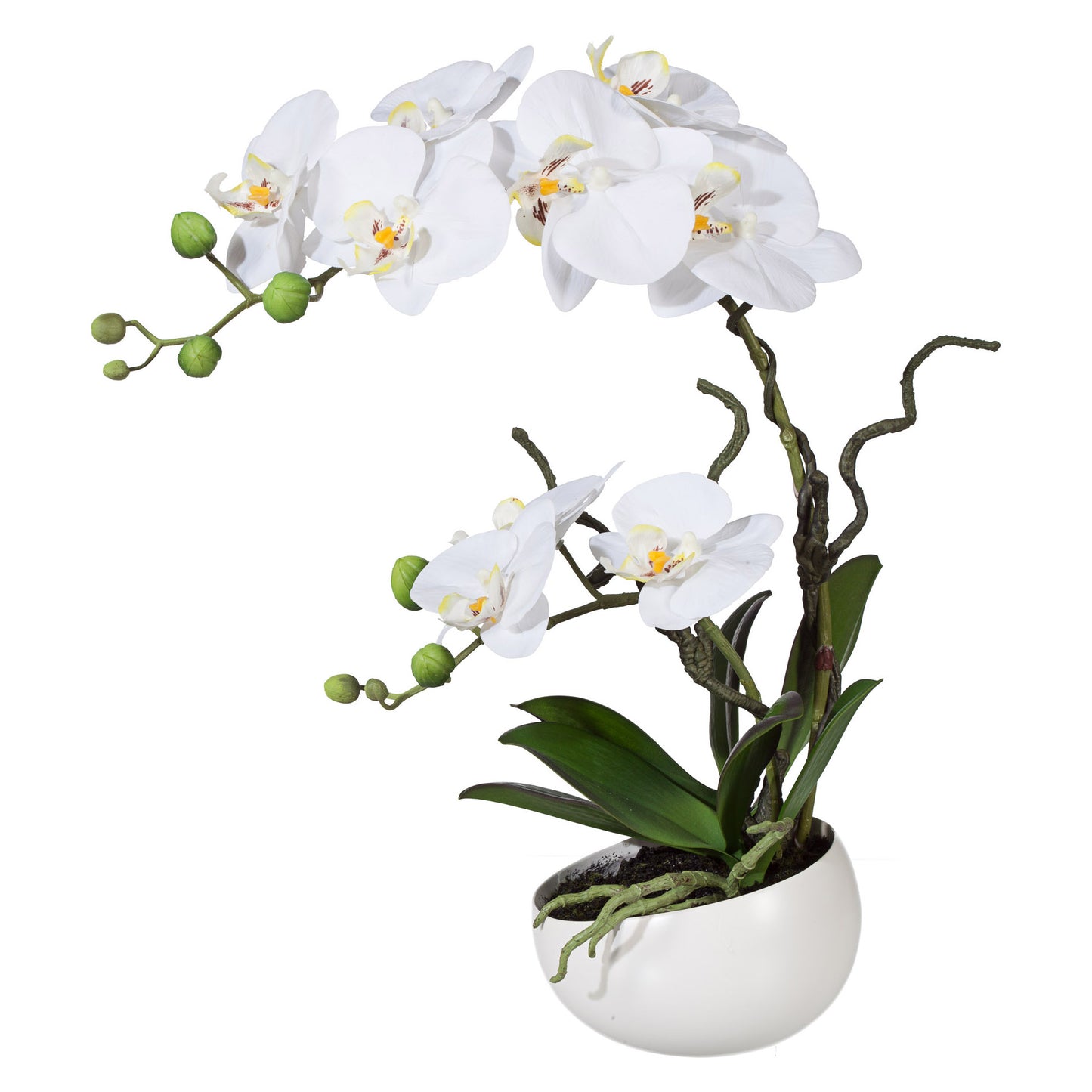 Phalaenopsis Kunstpflanze in weißer Dekokeramikschale 42 cm, Real Touch Orchidee