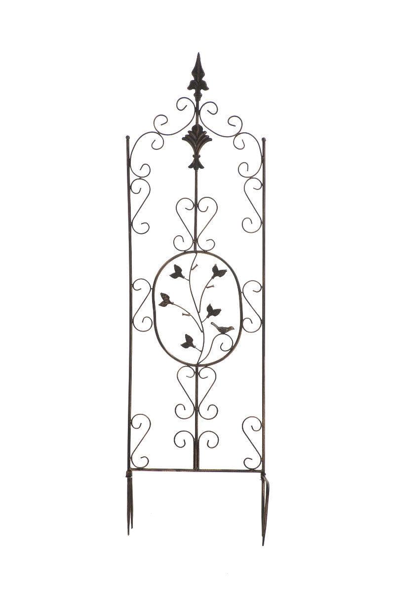 Pflanzen Rankgitter Burgus, 120 x 35 cm