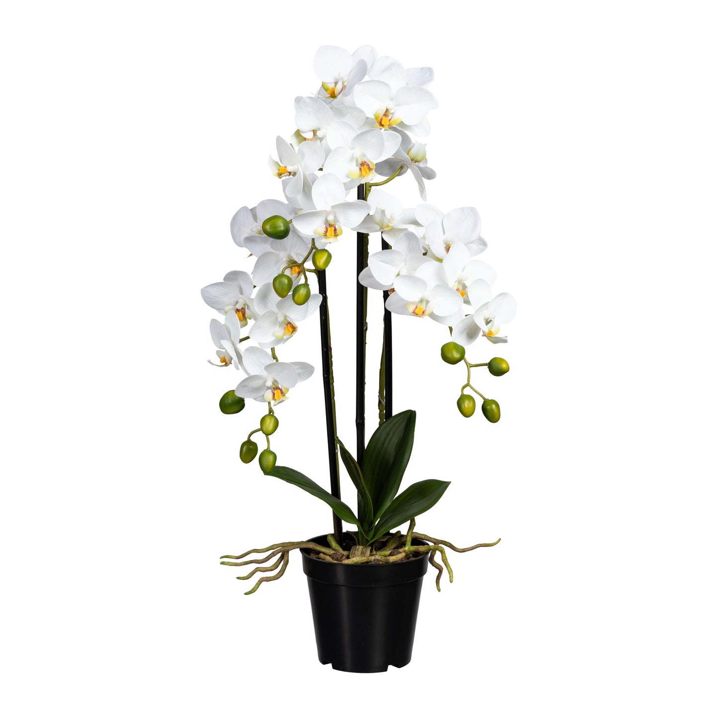 Künstliche Phalaenopsis Orchidee weiß 60 cm im Topf – Pflegeleicht & stilvoll dekorativ