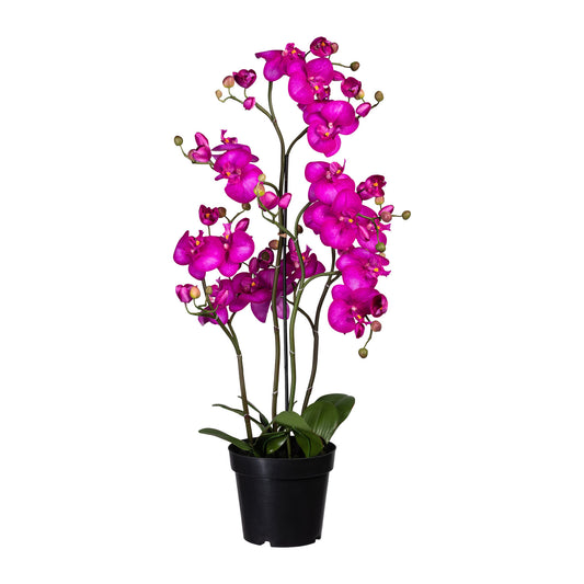 Künstliche Phalaenopsis Orchidee 90 cm im Topf – Pflegeleicht und dekorativ, weiß/lila