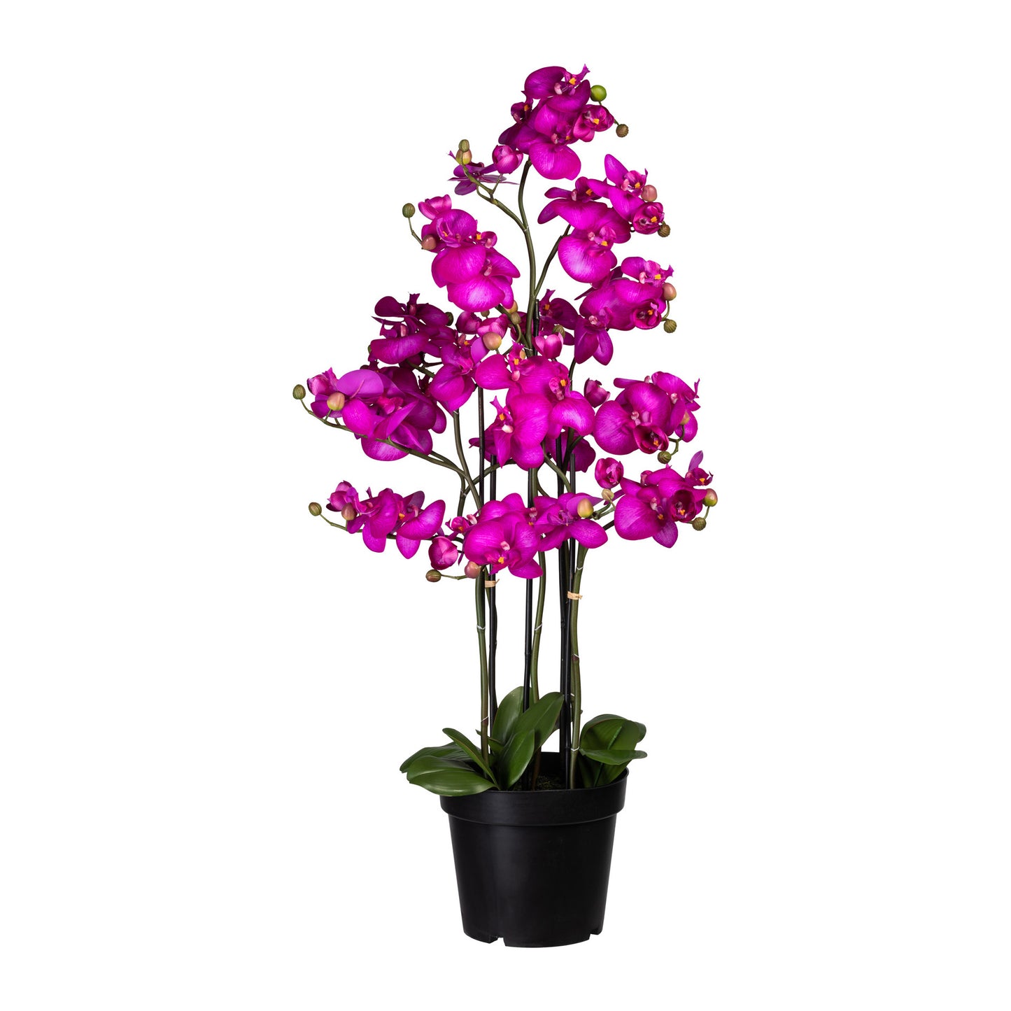 Künstliche Orchidee 110 cm im eleganten Kunststofftopf – Pflegeleicht und elegant