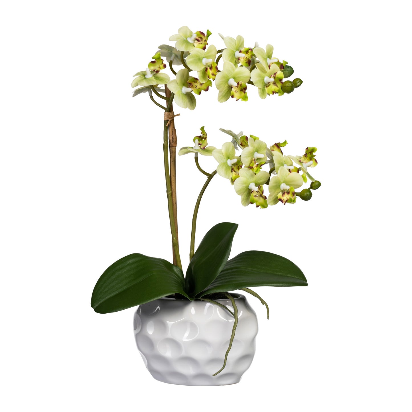 Künstliche Mini-Orchidee 40 cm in weißer Keramikvase – elegante Deko in verschiedenen Farben