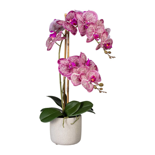 Künstliche Orchidee 60 cm im Zementtopf - Pflegeleichte Deko in 3 Farben erhältlich