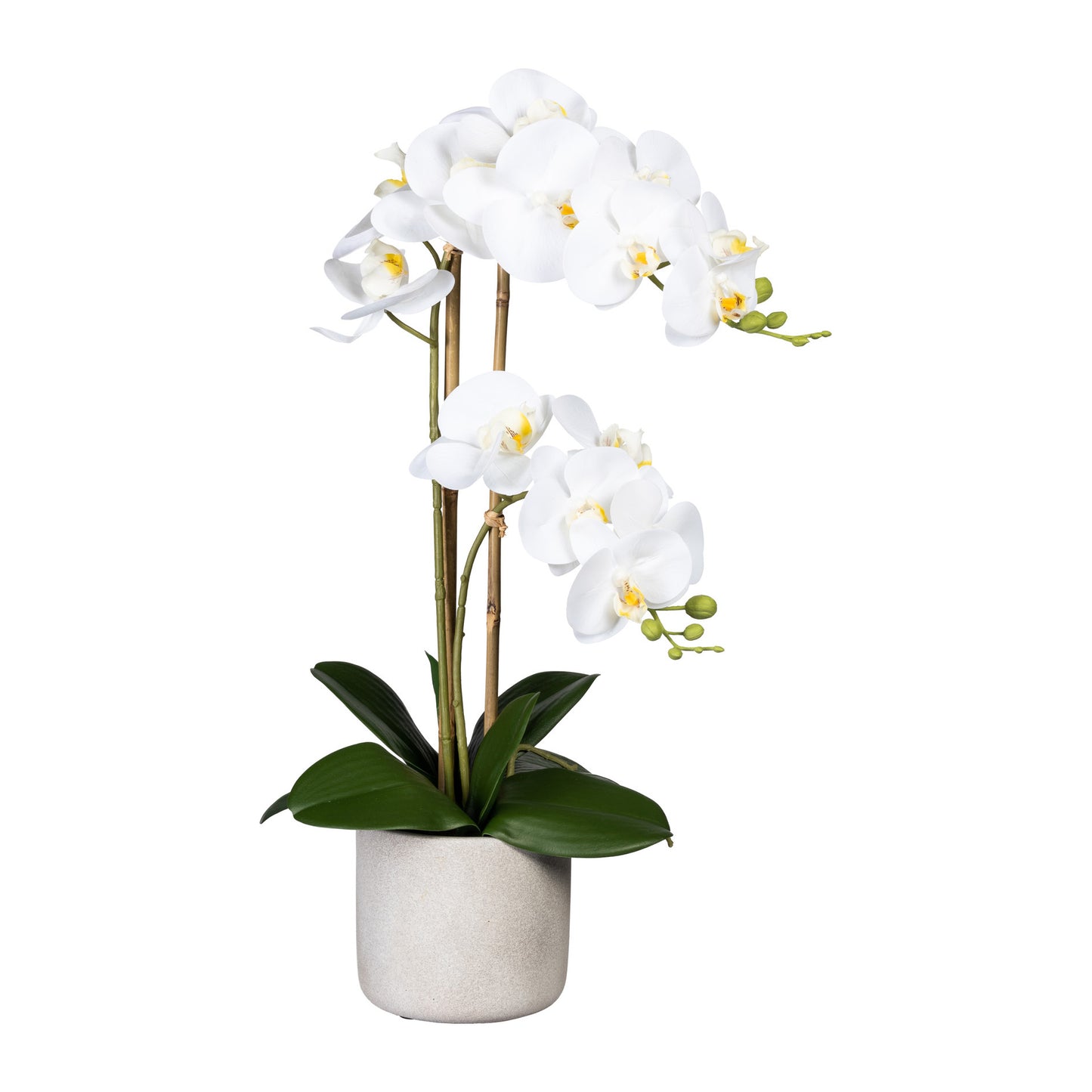 Künstliche Orchidee 60 cm im Zementtopf - Pflegeleichte Deko in 3 Farben erhältlich