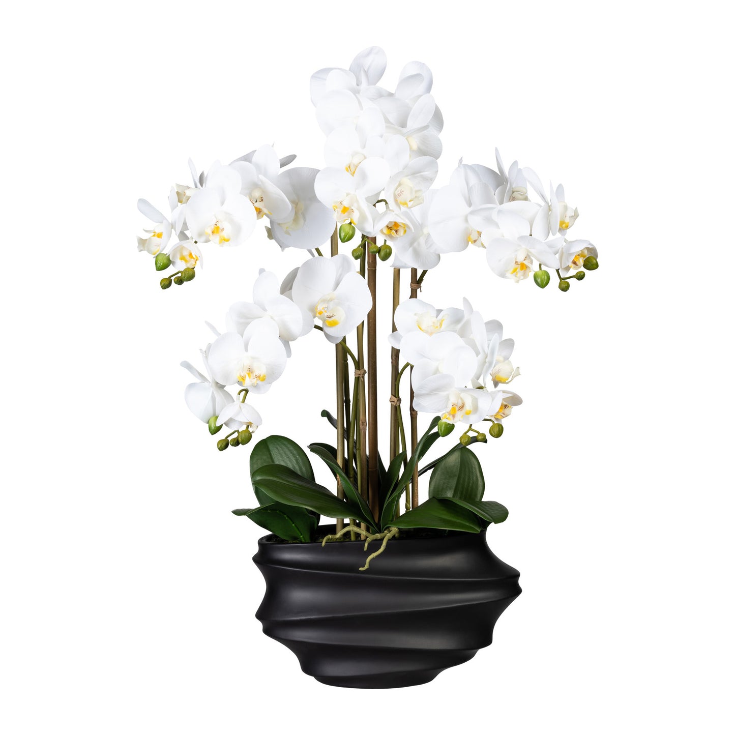 Künstliche Orchidee 75 cm in schwarzer Vase – Täuschend echte Blüten in Weiß & Lila