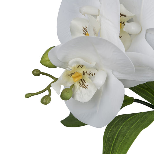 Orchideen-Bambus Arrangement 60 cm, Weiß, Real Touch im Buddha-Zementtopf