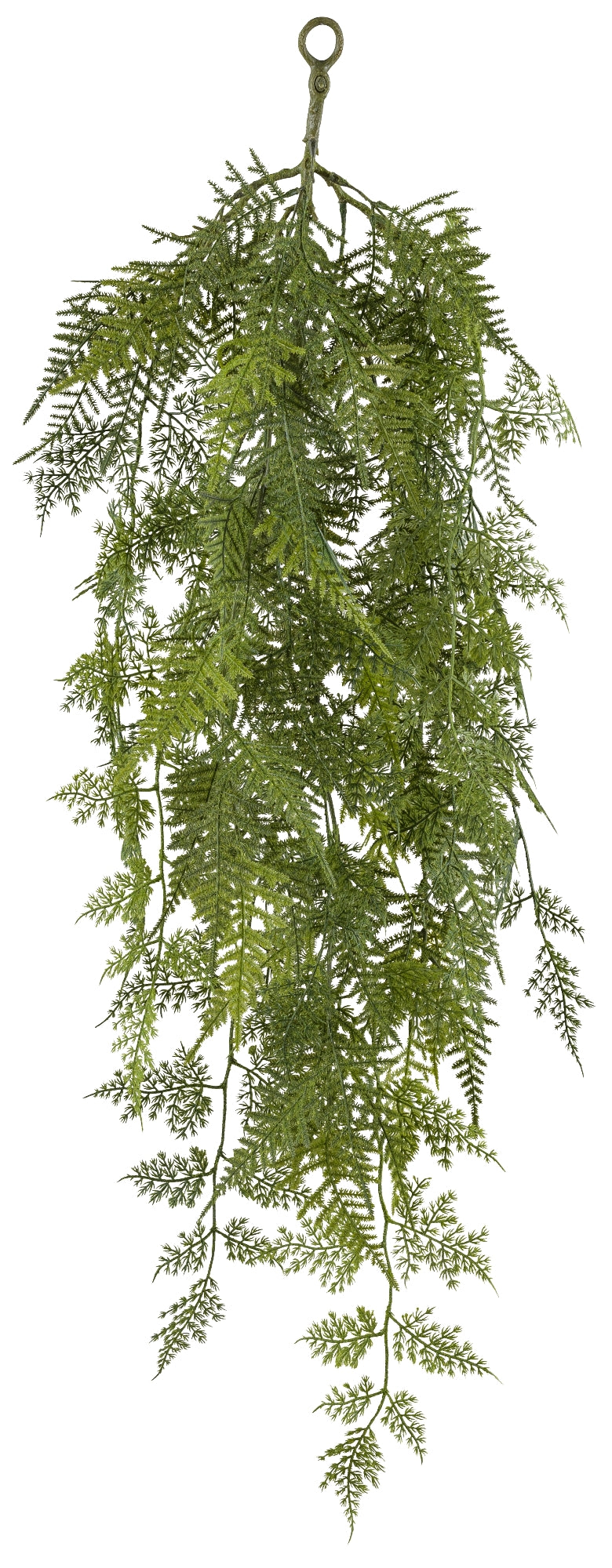 Asparagus setaceus Hänger 90 cm – Grüne Kunstpflanze für stilvolle Dekoration