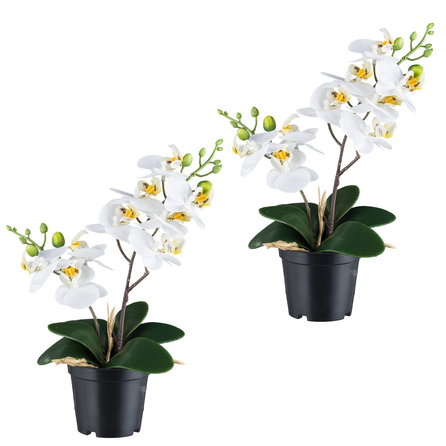 2er Set Phalaenopsis Orchideen Weiß 28 cm – Real Touch Kunstpflanze im Topf