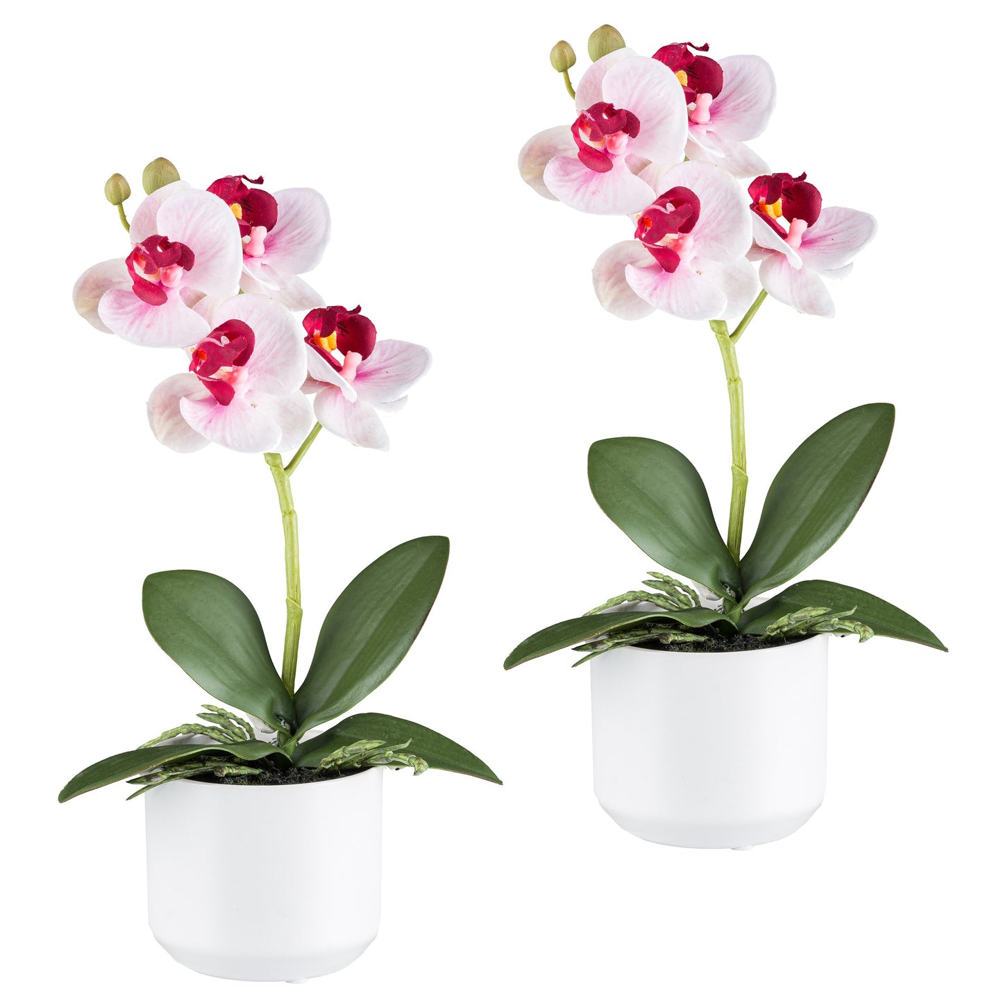 2er Set Phalaenopsis Orchideen 27cm Pink im weißen Keramiktopf - Real Touch Kunstpflanze
