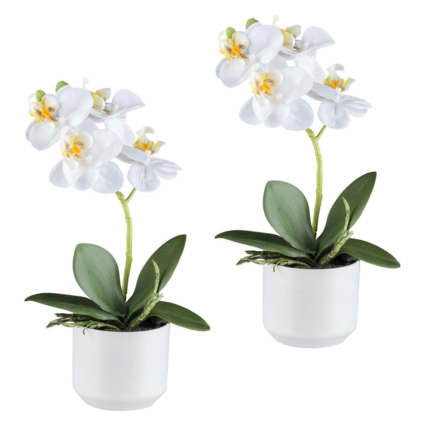 2er Set Phalaenopsis Orchideen Weiß 27 cm Real Touch im eleganten Keramiktopf