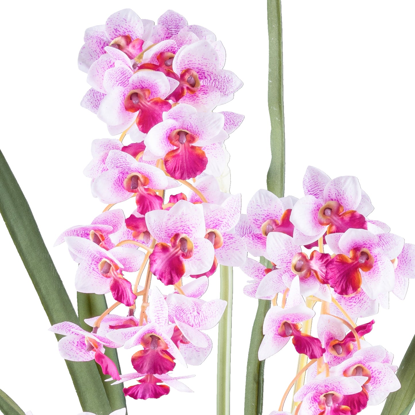 Cymbidie orientalis Kunstpflanze 80cm Weiß-Lila Real Touch im Kunststofftopf 17x15cm