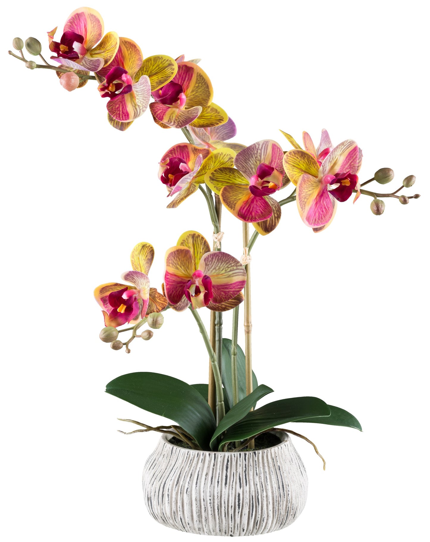 Phalaenopsis Orchidee 48 cm Gelb-Pink in grauer Zementschale – Kunstpflanze Real Touch