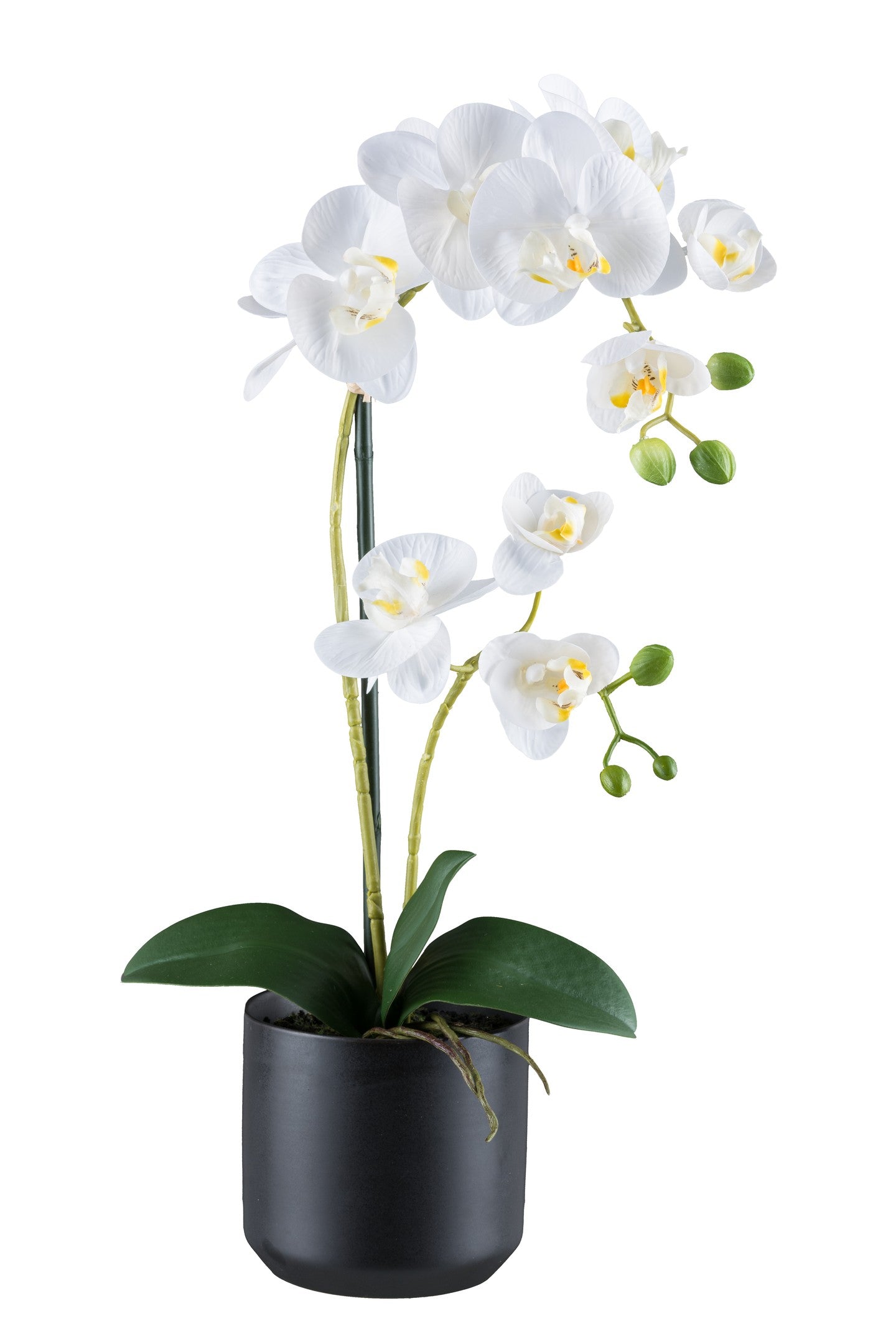 Phalaenopsis Orchidee 50 cm weiß, Real Touch Kunstpflanze im schwarzen Keramiktopf 12x11,5 cm