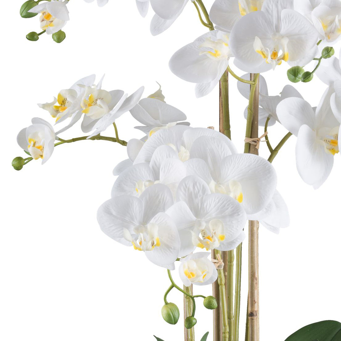 Phalaenopsis Orchidee 70 cm Weiß - Real Touch Kunstpflanze im weißen Topf