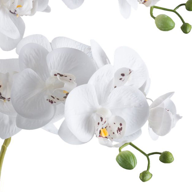 Phalaenopsis Orchidee 70 cm in Weiß - Pflegeleichte Kunstpflanze im schwarzen Topf