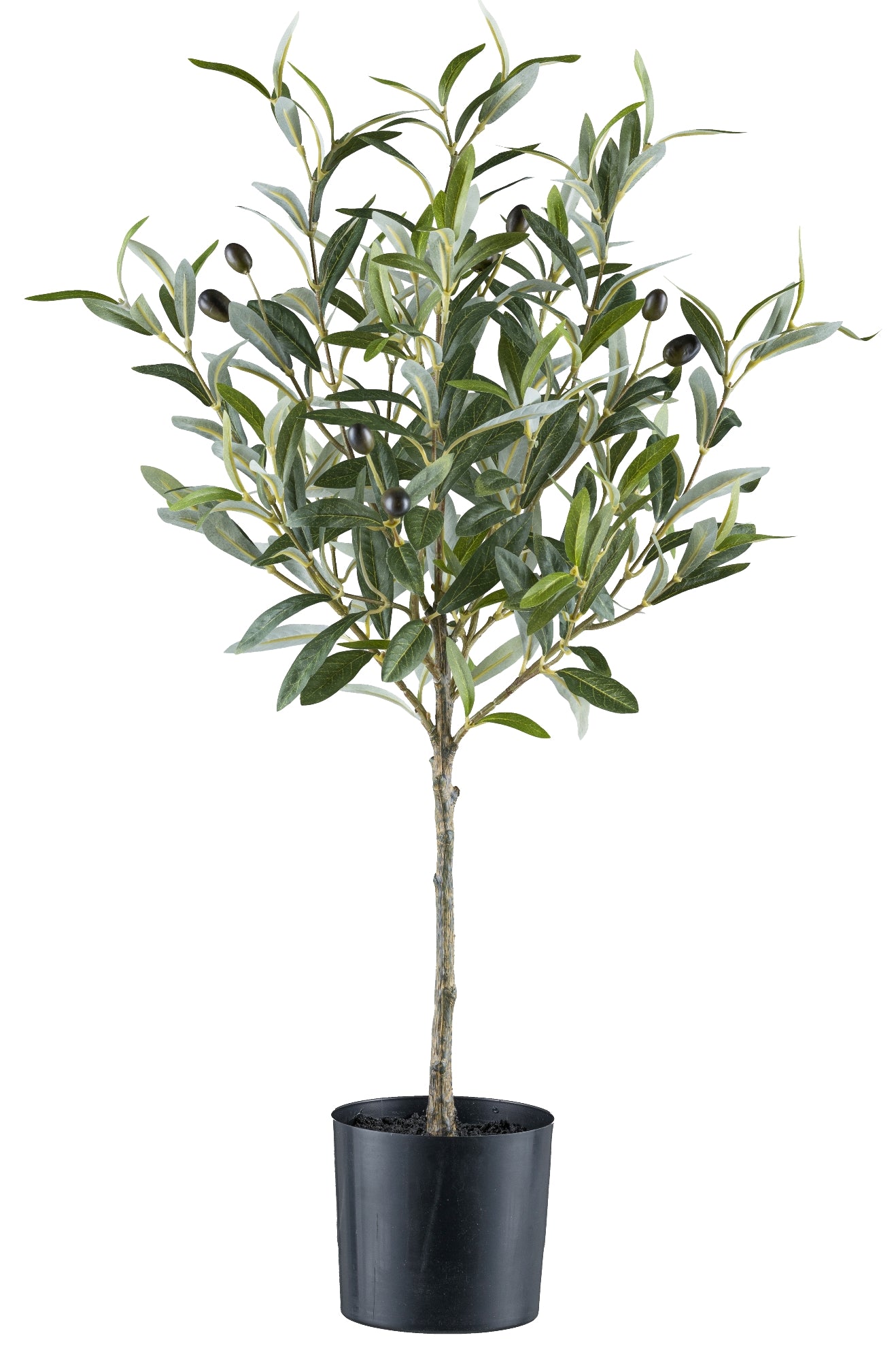 Olivenstämmchen Kunstpflanze 70cm mit 8 Früchten im schwarzen Topf 12,5x11cm