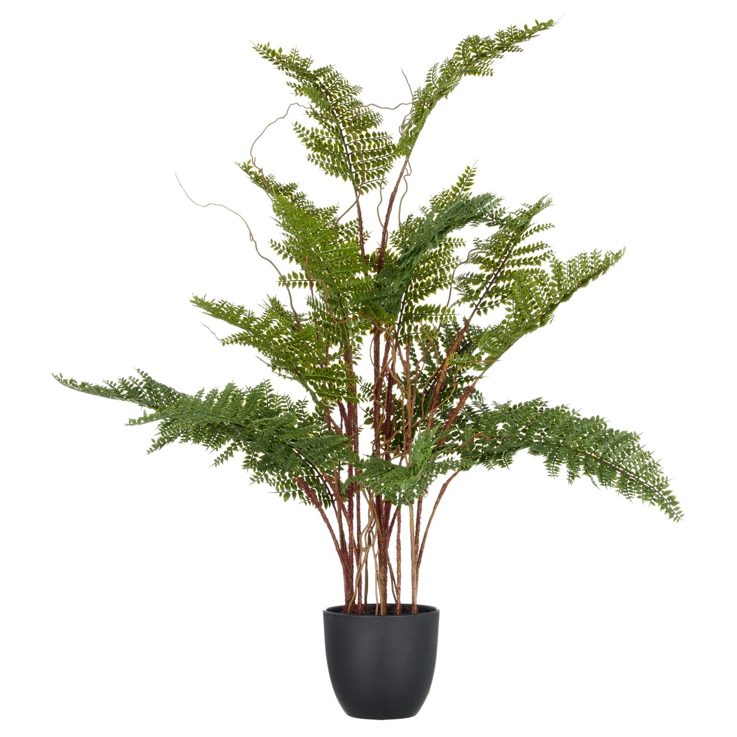 Künstlicher Adlerfarn 70 cm grün im Kunststofftopf 11,5x10 cm pflegeleichte Dekopflanze langlebig