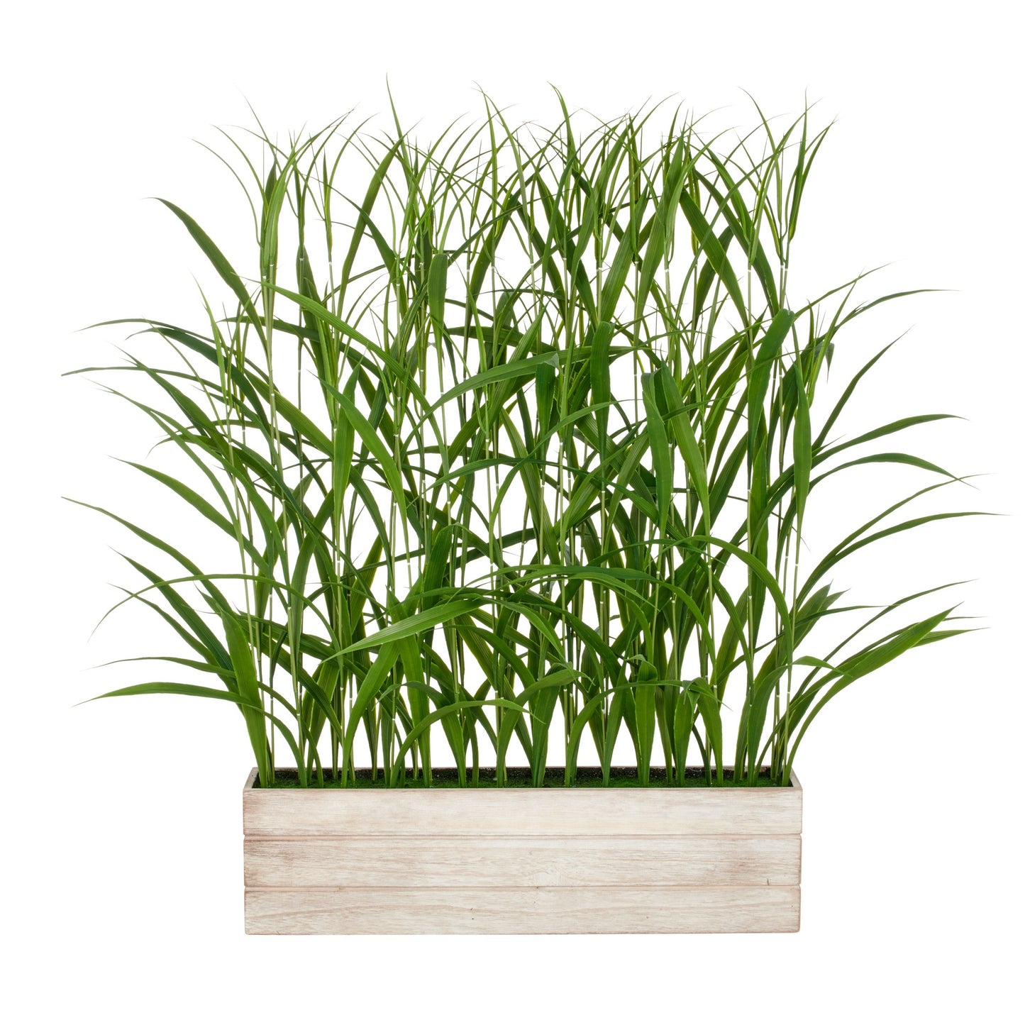 Jumbogras Raumteiler 120 cm grün im Holzkasten 75x15x20 cm UV-beständige Kunstpflanze langlebig pflegeleicht