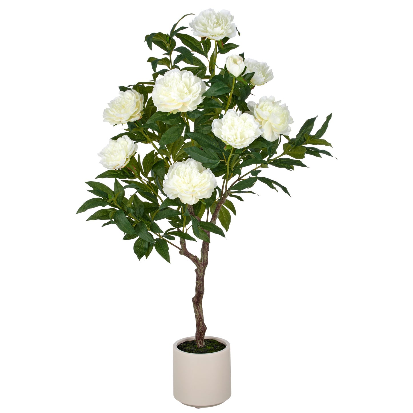 Künstliche Peonien Hochstamm 120cm Creme im Kunststofftopf 17,5x17,5 cm langlebige Deko Pflanze
