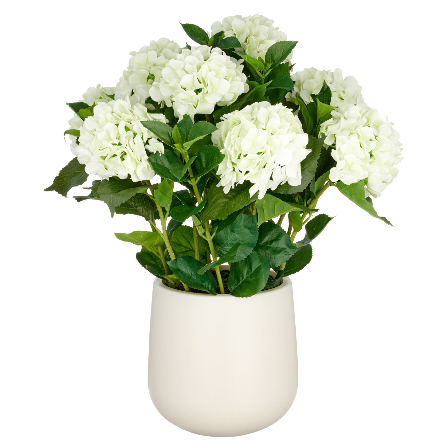 Hortensien Arrangement 70cm cremegrün Real Touch Kunstpflanze im Kunststofftopf 24x26cm