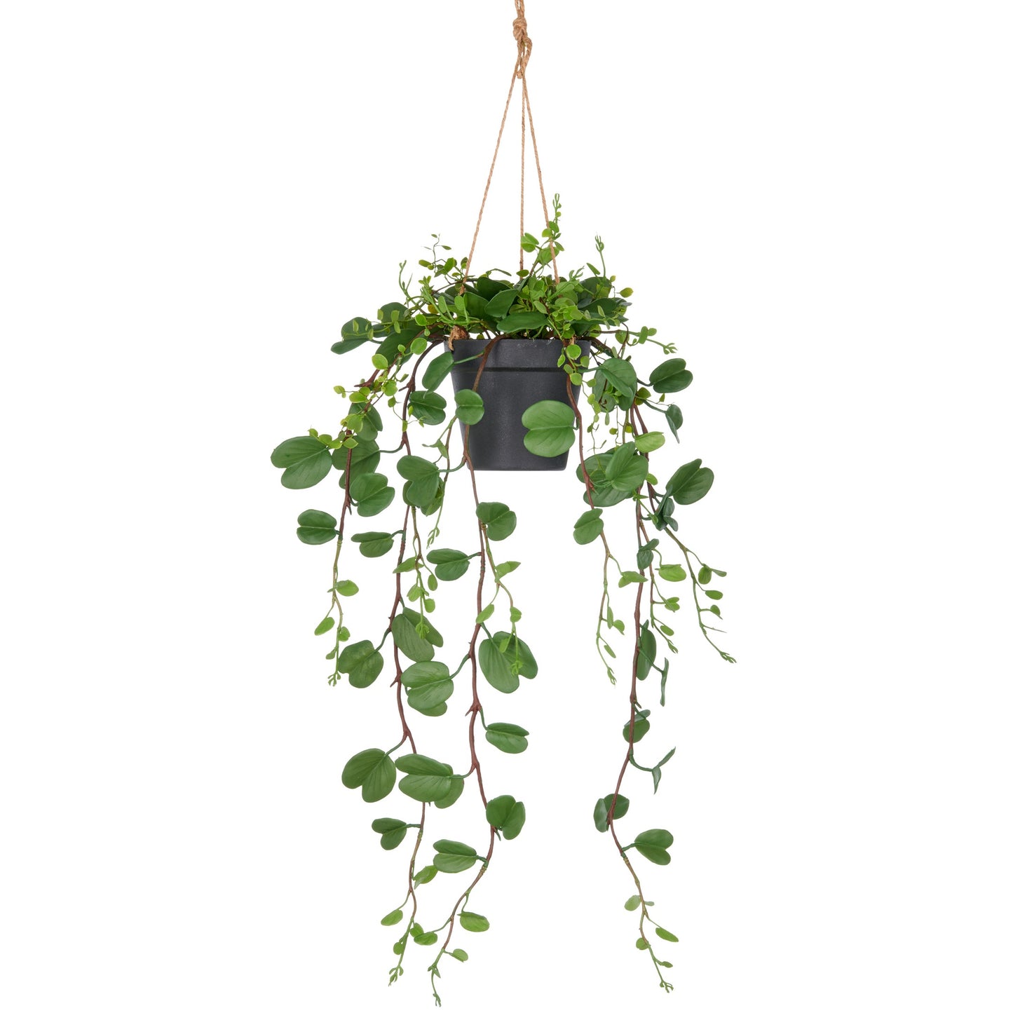 Bauhinia Kunstpflanze ca. 60 cm grün im Hängetopf 12,5x11 cm Kunststoff dekorativ