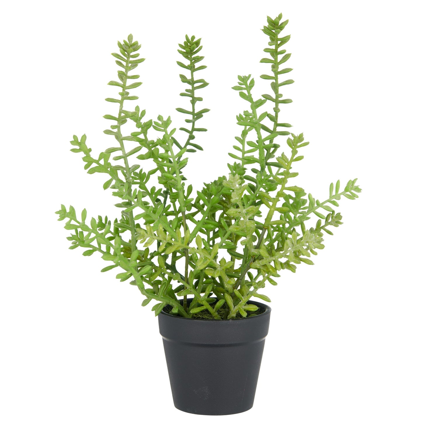 Sedum acre Yellow Queen Kunstpflanze 27 cm grün im Kunststofftopf 8x7 cm pflegeleicht robust