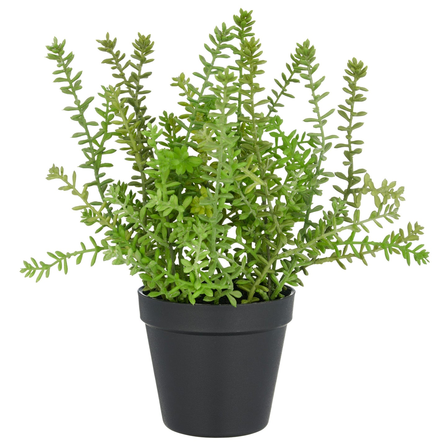 Sedum acre Yellow Queen 32cm grün Kunstpflanze im Kunststofftopf 12,5x11cm pflegeleicht dekorativ