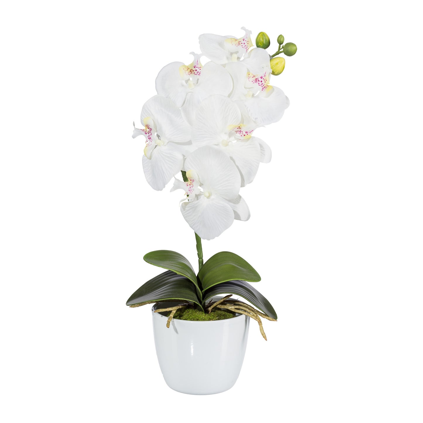 2er Set Kunstpflanze Phalaenopsis Orchidee 40cm Weiß im Keramiktopf 11cm dekorativ