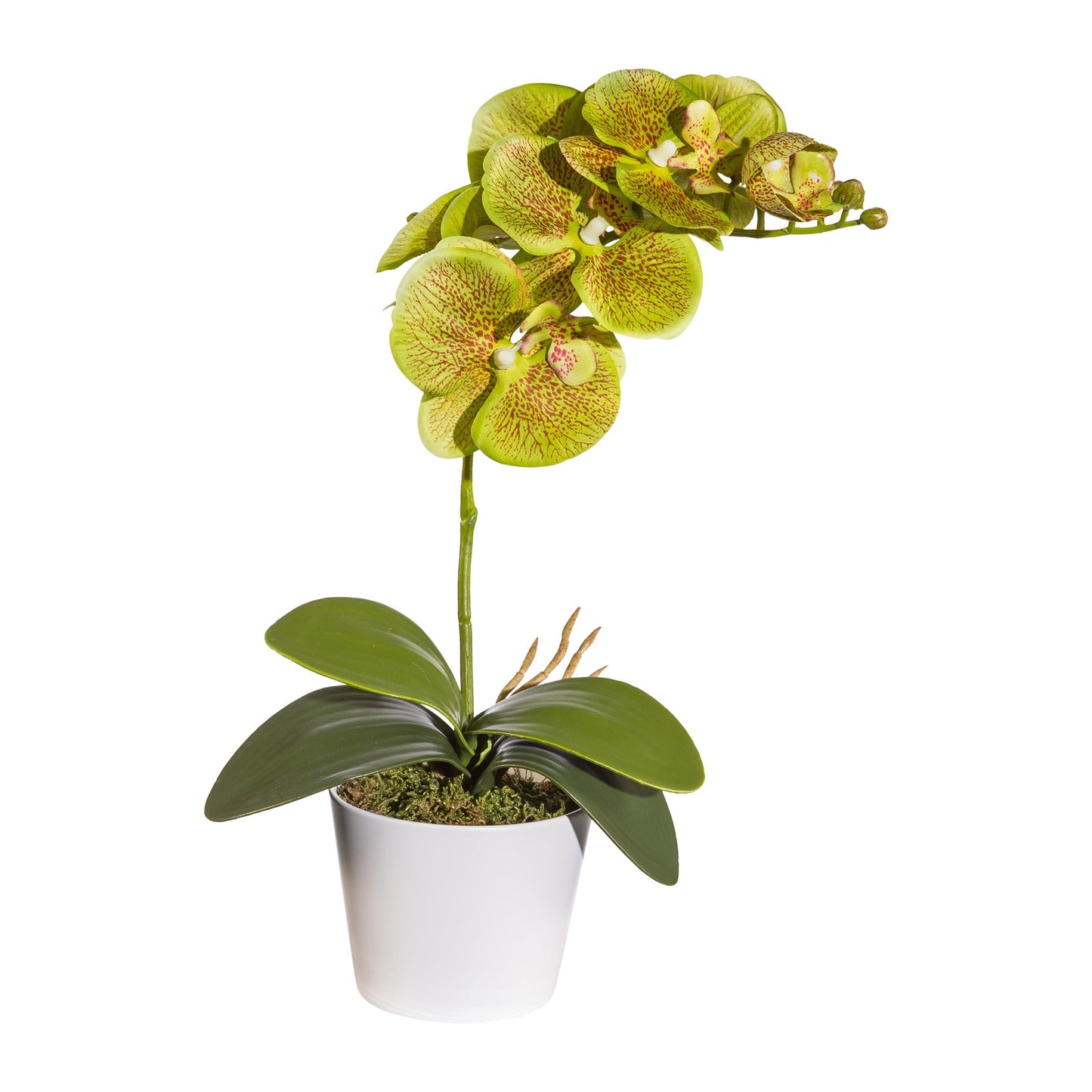 2er Set Phalaenopsis Kunstpflanzen 40 cm im Topf mit Moos – Dekoration für Zuhause