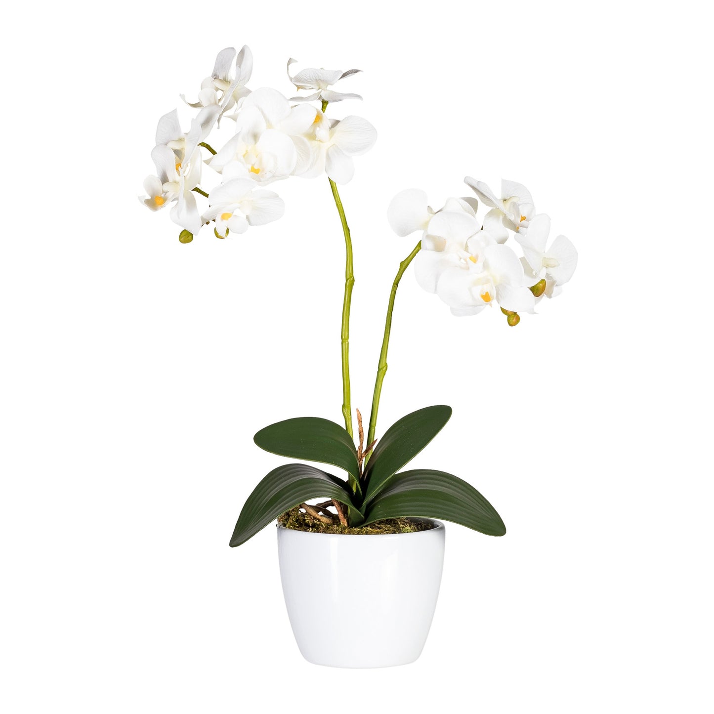 2er Set weiße Phalaenopsis Orchideen 50 cm, Kunstpflanze im dekorativen Keramiktopf 11 cm