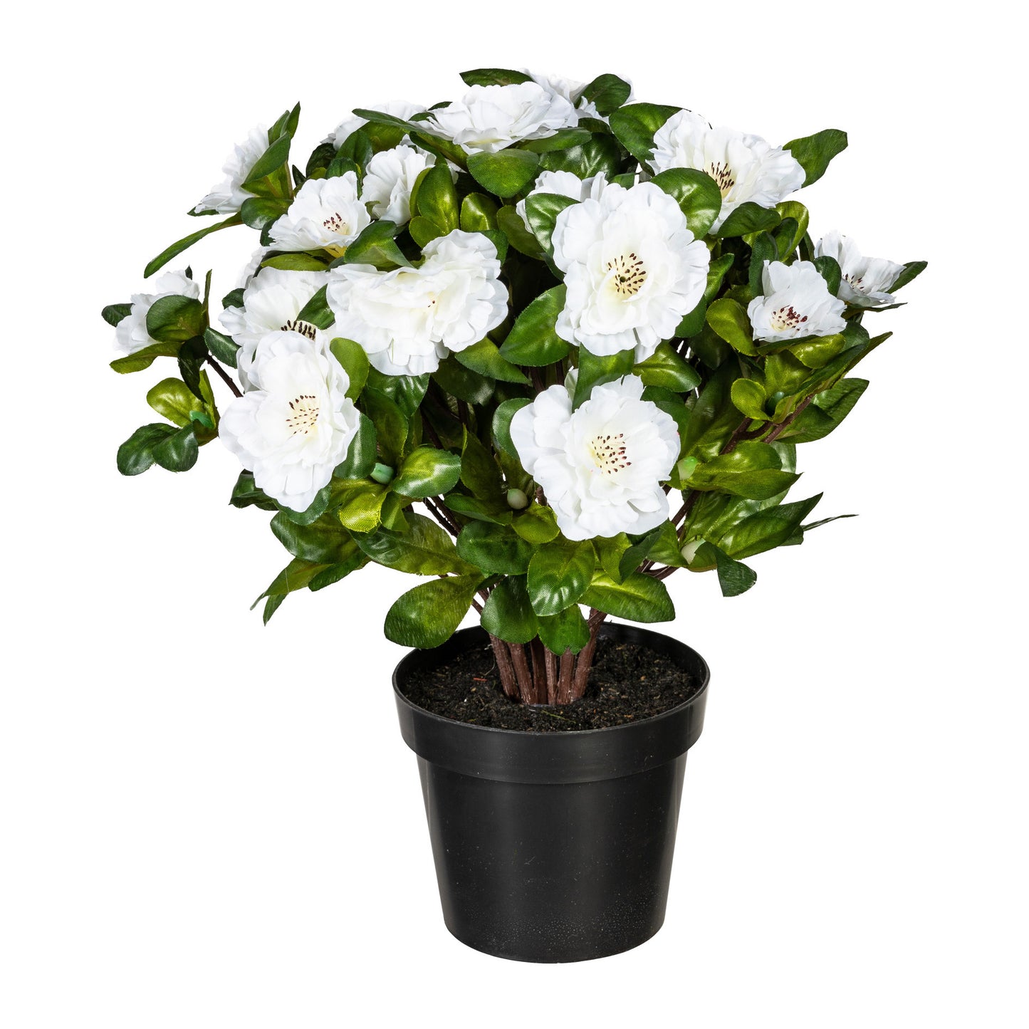 Künstlicher Azaleenbusch 32 cm in Topf - Pflegeleicht, in Weiß, Rosa & Rot