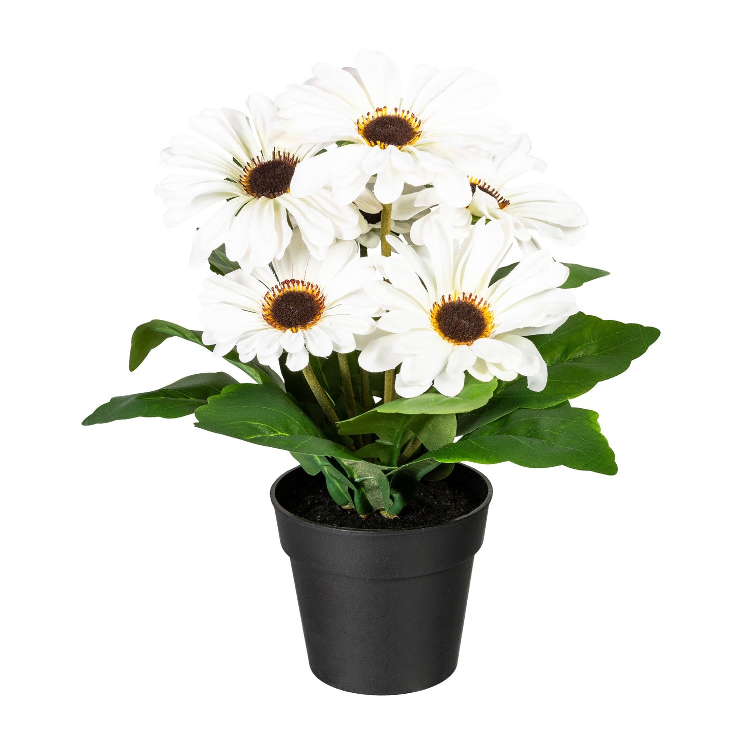 2er Set cremefarbene Kunstpflanze Gerberabusch 27 cm im Kunststofftopf 10x9 cm