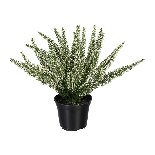 Künstliche Erika im Topf 26 cm – Pflegeleichte Pflanze in Calluna, Weiß und Lila