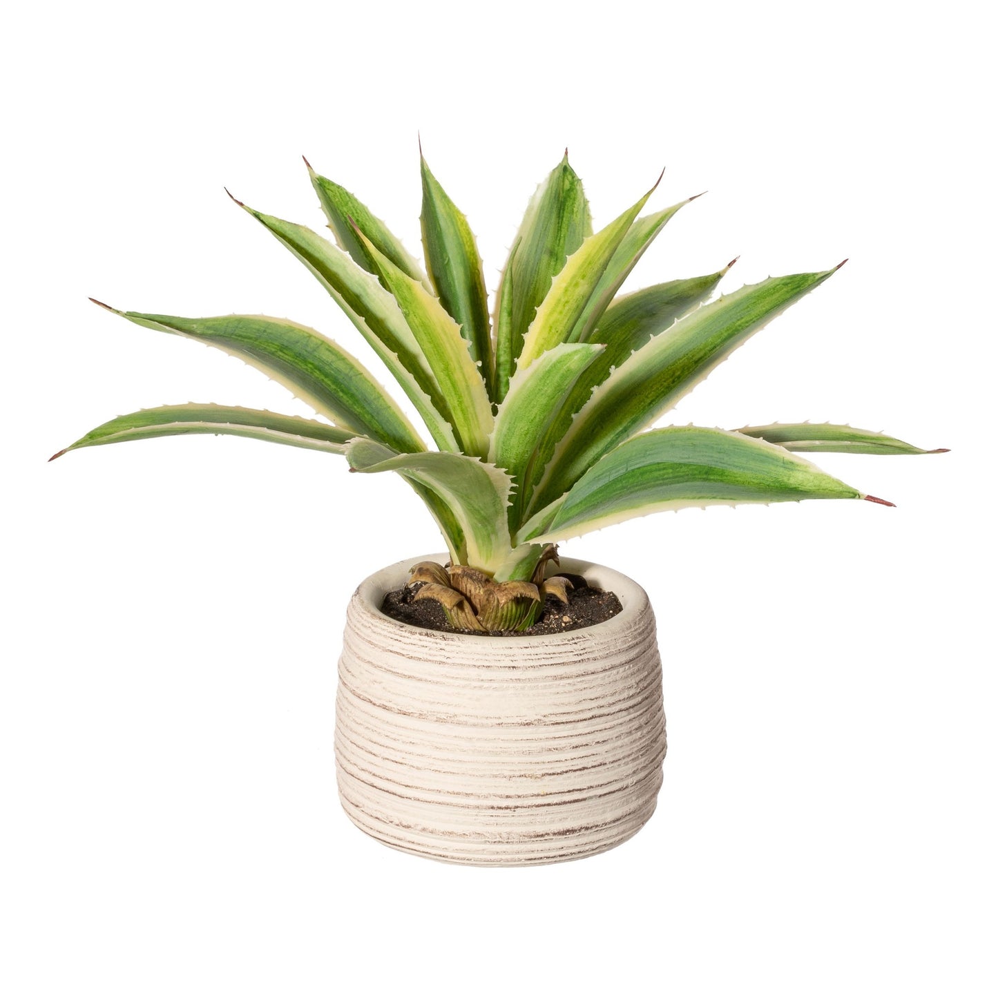 Kunstpflanze Agave 25 cm im cremefarbenen Zementtopf – Pflegeleicht & dekorativ