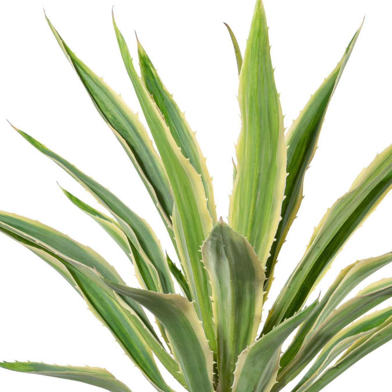 Künstliche Agave Grüncreme 85 cm im Terracottatopf Ø 21 cm – Pflegeleichte Deko-Pflanze