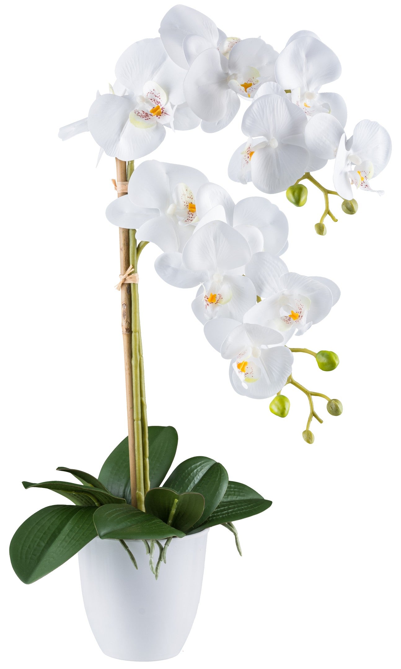 Phalaenopsis Orchidee 56 cm Weiß RealTouch im modernen Melamintopf 12x12 cm