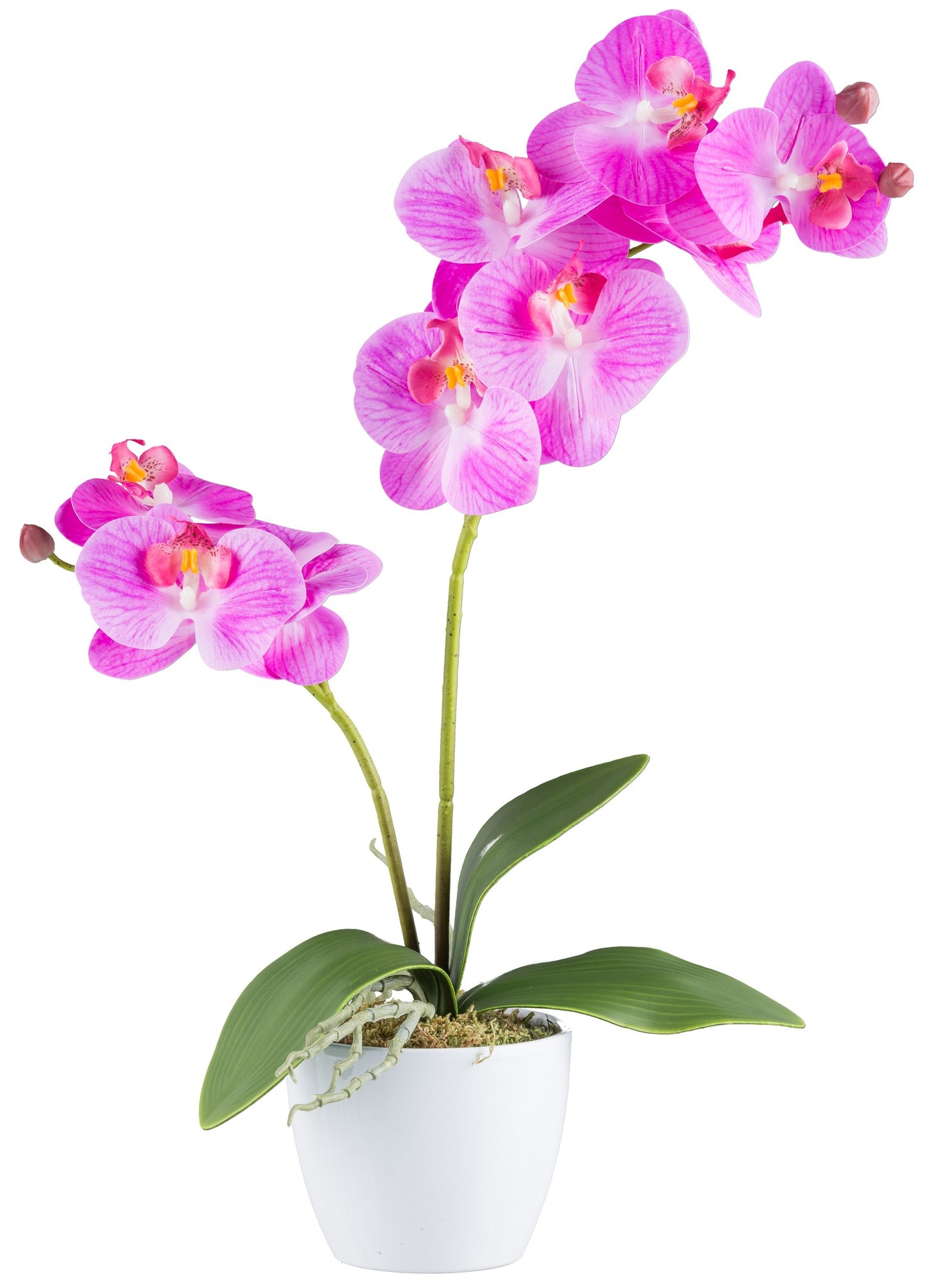 Phalaenopsis Orchidee 9 Blüten 57cm – RealTouch Kunstpflanze im weißen Keramiktopf 11cm